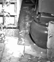 Rat enters hedgehog house (3.17am - IR lighting used)