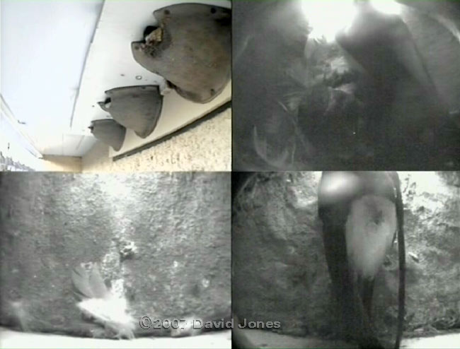 Composite cctv image recorde this morning