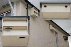 Nestboxes on our house