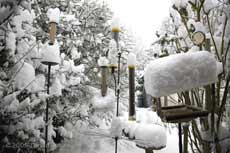 The bird feeders under snow this morning