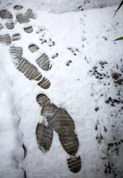 Footprints in wet snow