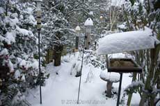 Bird feeders in the snow, 2 December 2010
