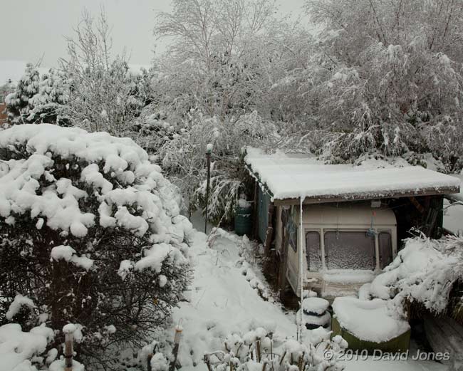 Snow covered garden at 8.30am, 6 January