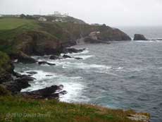 Lizard Point on a wet day, 7 June