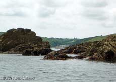 Porthallow from below Nare Head, 13 June