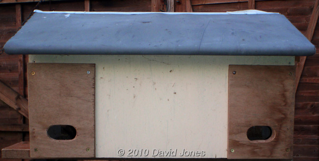 Starling nestbox, now with Swift-friendly entrances, 5 March