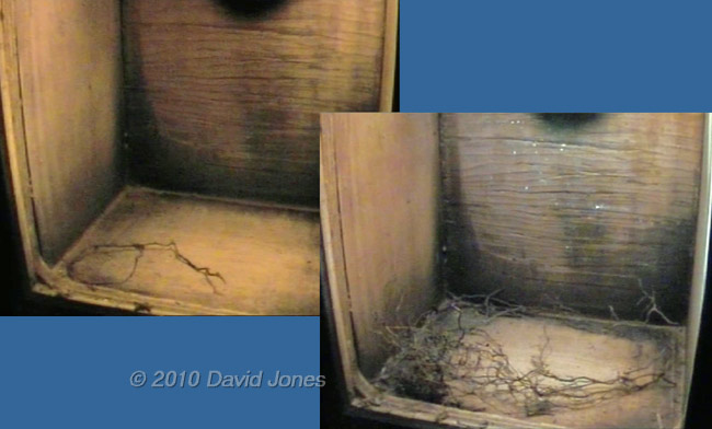 The Great Tit nest box at 6am and 7pm today, 4 April
