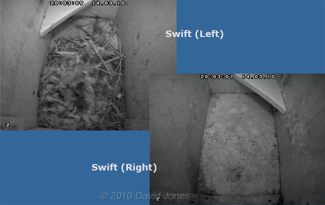 Internal views of the Swift (converted Starling) boxes, 14 March