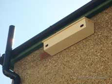 Swift nest boxes installed on a neighbour's house - 3, 24 March