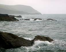 Looking towards Nare Head from Porthallow Cove