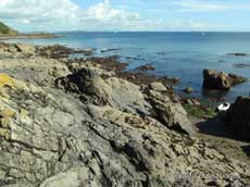 Along the coast, north of Porthallow, 8 September 2010