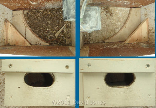 Swift nest boxes with restrictions to entrances, 14 April