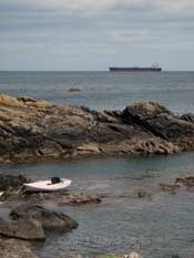 The kayak on shore just south of Nare Head, 14 May