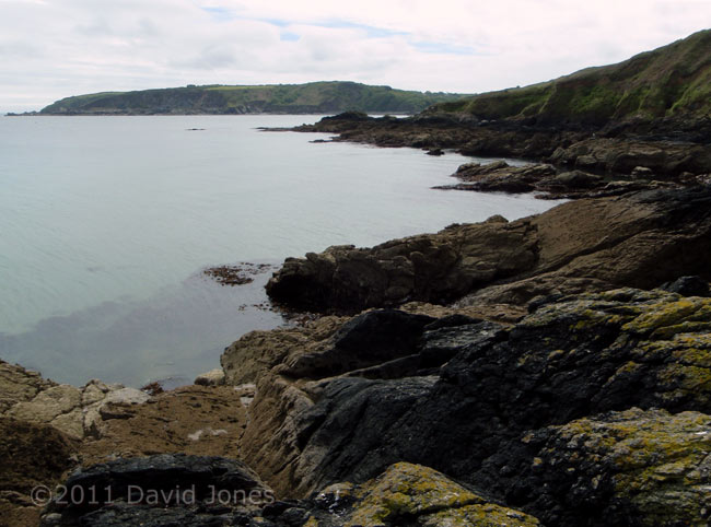 View towards Porthallow from south side of Nare Head, 18 May