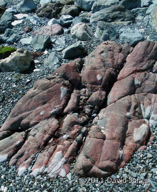 Red boulder on foreshore south of Porthallow, 20 May