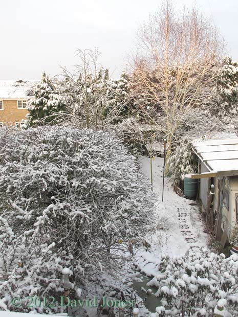 The garden after overnight snow