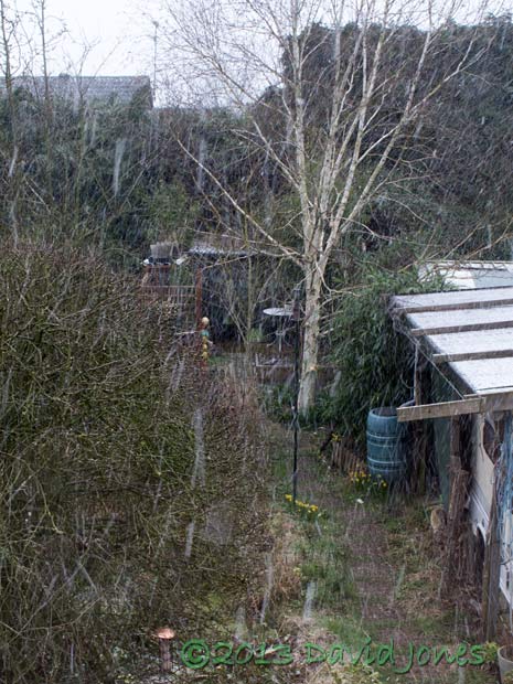 Snowing again, 4 April 2013