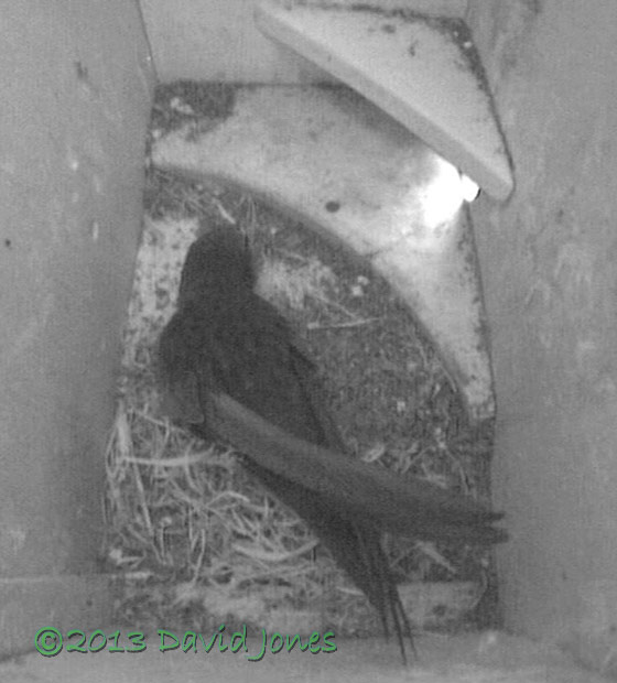 First Swift arrives in SW(ri) tonight, 7 May 2013