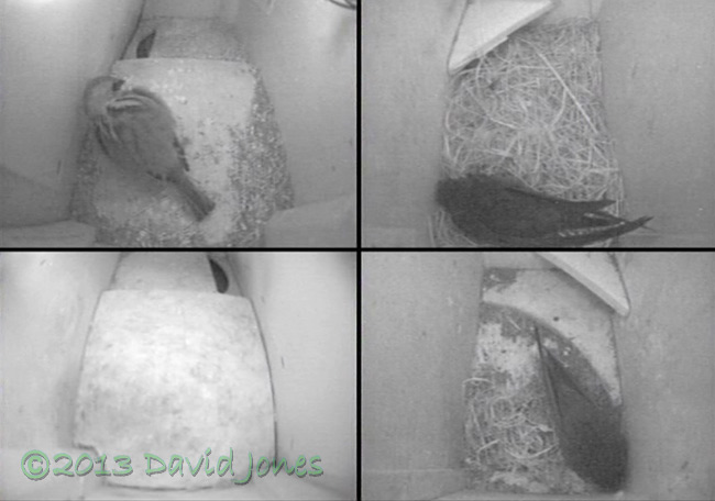 View on Swift monitor tonight, 7 May 2013