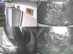 cctv images from front of house, including fighting Sparrows, 9 May 2014